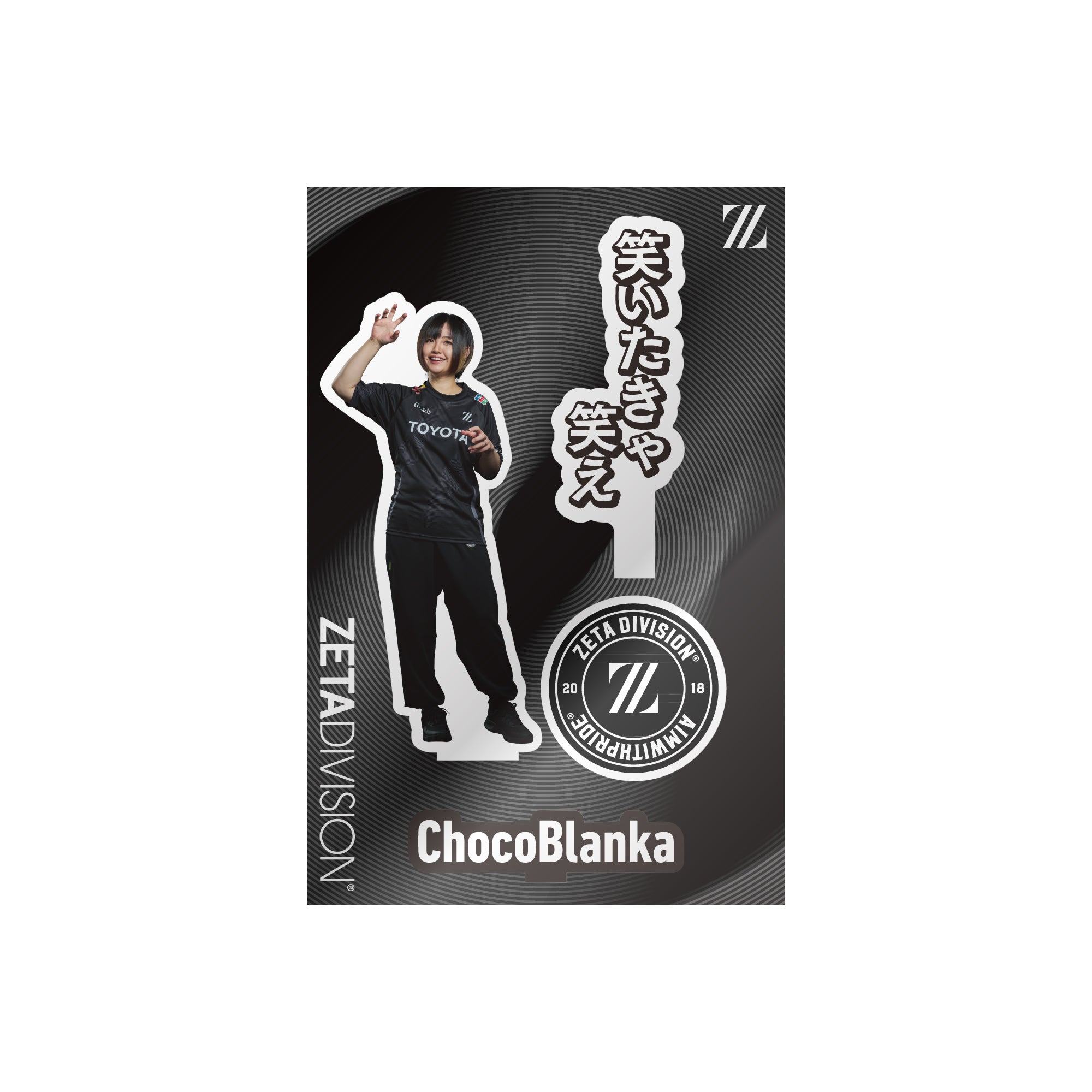 TEAM STREET FIGHTER PHOTO ACRYLIC STAND / ChocoBlanka – ZETA