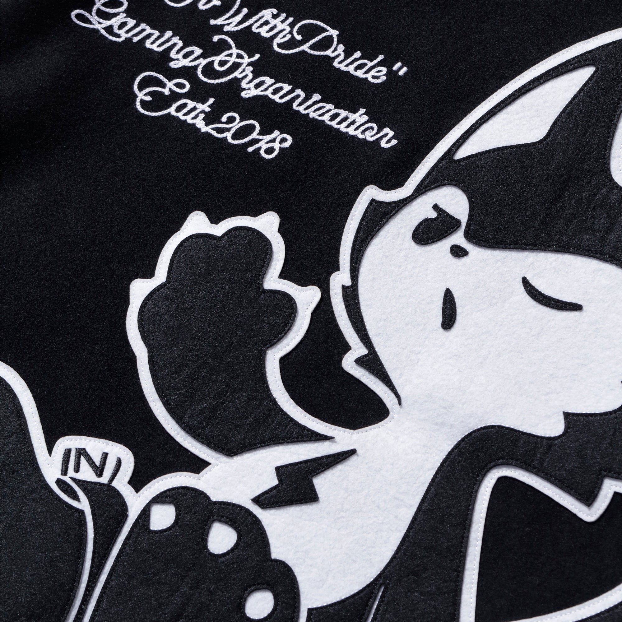 2024 ZETA MASCOT VARSITY JACKET – ZETA DIVISION STORE