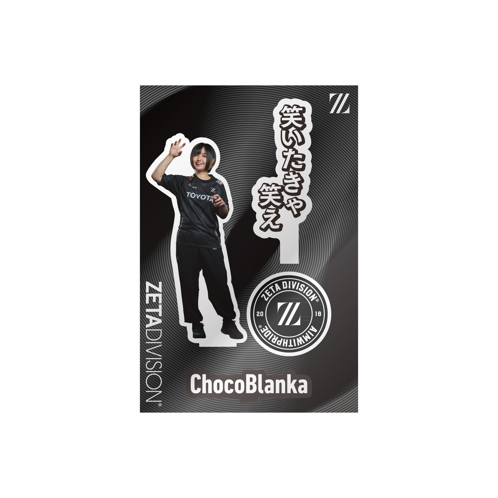 TEAM STREET FIGHTER PHOTO ACRYLIC STAND / ChocoBlanka – ZETA
