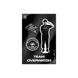 TEAM OVERWATCH ACRYLIC STAND 2026 SPRING / Mealgaru